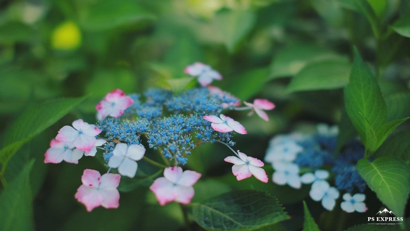 父の日とお父さんの存在は・・・?