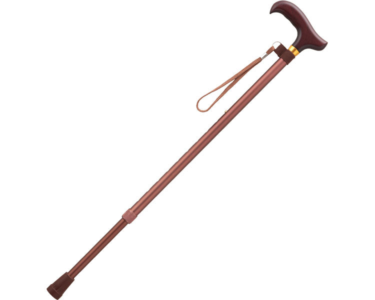 愛杖Dシリーズ 伸縮ステッキ 軽量270g ケイ・ホスピア